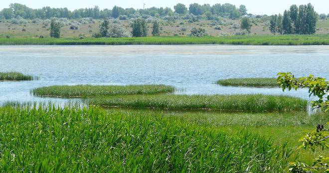 ГОРЕЩО ВРЕМЕ ДО 40 ГРАДУСА И ПРЕЗ НОВАТА СЕДМИЦА VREMETO PROGNOZA ПРОГНОЗА ЗА ВРЕМЕТО