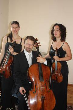 Струнно трио „Фогл” извайва звуци във виенски стил на Камерния фестивал