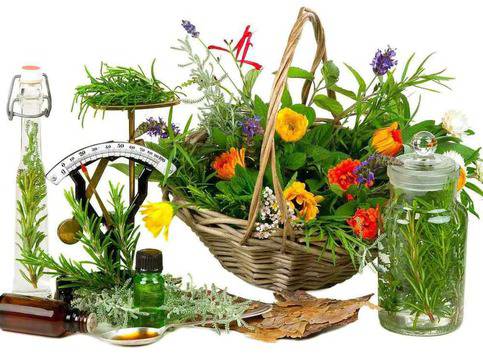 Билки и храни за тонус в горещините