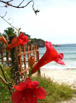 Автобусна екскурзия до остров Тасос и Кавала, Гърция