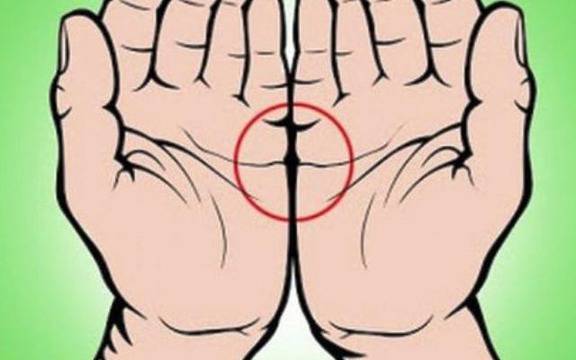 Събери дланите си и виж какво означава, ако линиите на ръката ти се съединяват!