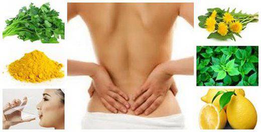 10 най-често срещани навици, които увреждат бъбреците