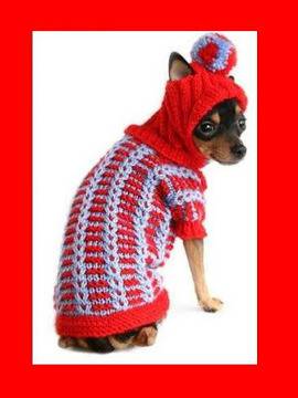 Кучета – домашни любимци: Някои важни и задължителни аксесоари за кучета.