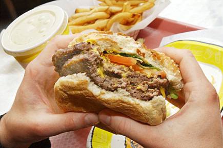 Човешкият мозък и здравословното хранене