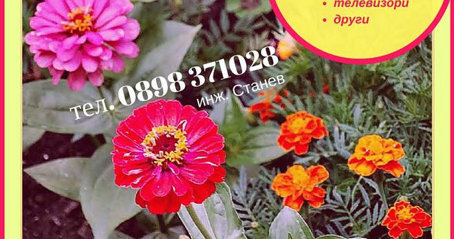 Ремонт на перални по домовете в София: Ремонт на перални със счупена ключалка, разбита помпа и скъсан ремък в горещите дни на…