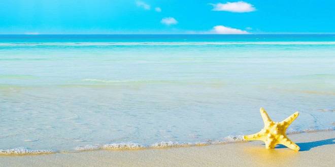 Условията в детските бази по Черноморието са добри