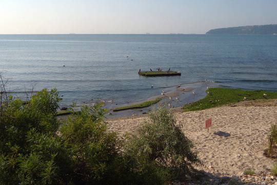10 опасности, които ни дебнат при къпане и плуване във водоемите
