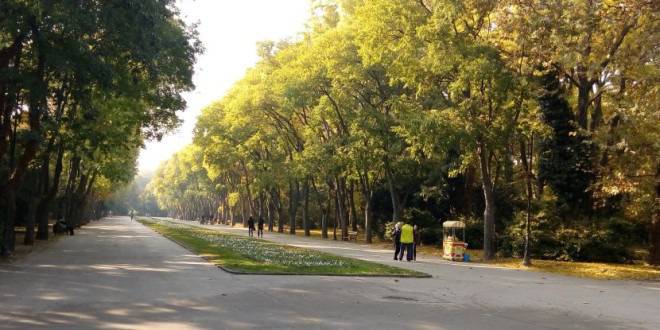 „Тайната градина“ превзема Морската градина във Варна