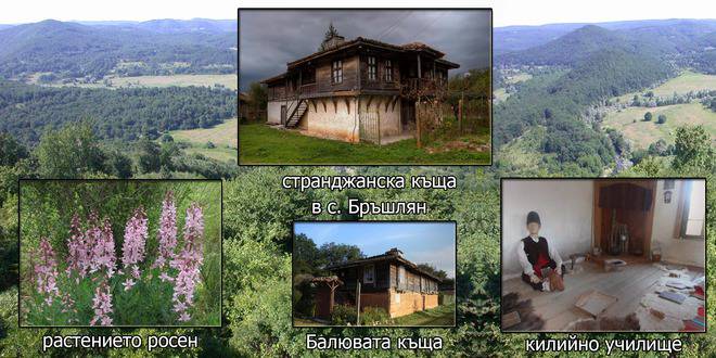Село Бръшлян – преплитане на история и цивилизация в едно странджанско село