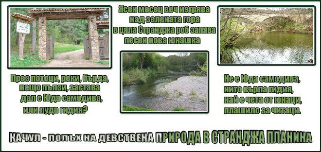 Качул – полъх на девствената природа в Странджа планина