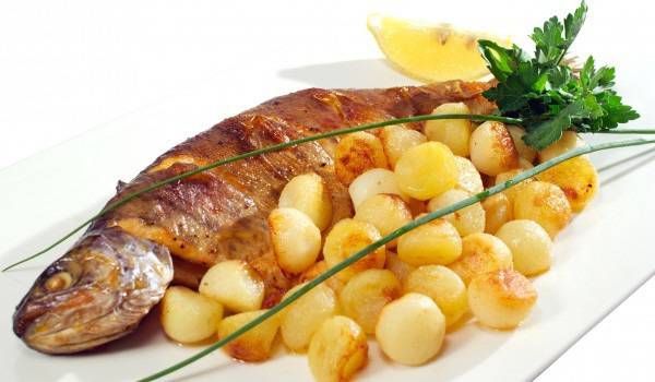 Рибата предпазва от рак, сърдечносъдови заболявания, деменции