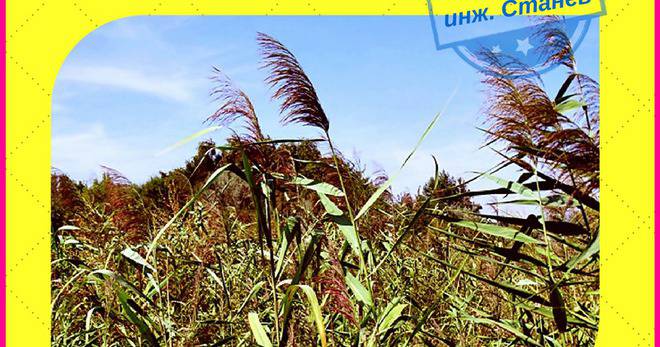 lxpress: Ремонт на перални, керамични плотове и хлебопекарни – професионални сервизни услуги без почивен ден в края на лятото