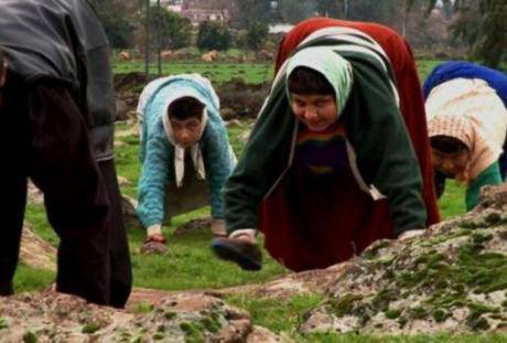 Обратна еволюция: Петчленно семейство ходи на ръце и крака (видео)