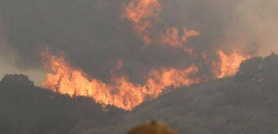 Пожар на остров Тасос. Десетки туристи, включително и българи се евакуират