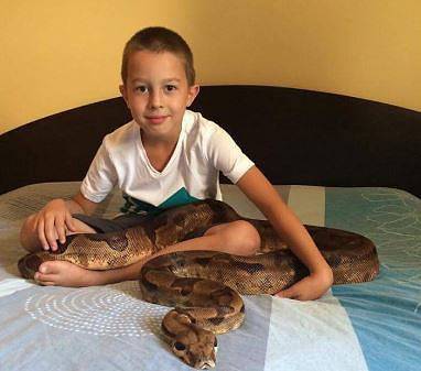 Синът на Емилия и Коко Динев си играе с питон в леглото (СНИМКА)