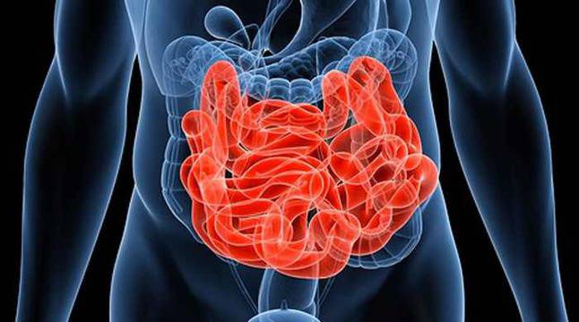 Червен, гладък и лъскав език се свързва с дефицит на витамин В12