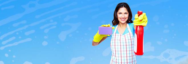 Професионално почистване