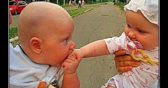 Топ 20 на най-смешните картинки за всички времена!