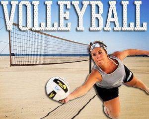 Richard Beese - What Everyone Is Saying About Volleyball Sport
