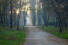 Античен музей на открито правят във Варна