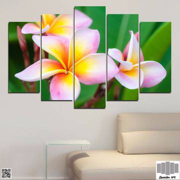 Декоративно пано за стена от 5 части с розова Плумерия – HD-201