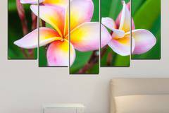 Декоративно пано за стена от 5 части с розова Плумерия – HD-201