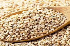 Сусамът е супер храна, ускорява метаболизма и лекува