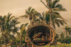 Лукс в клоните на дърво