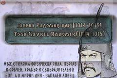 Гаврил Радомир