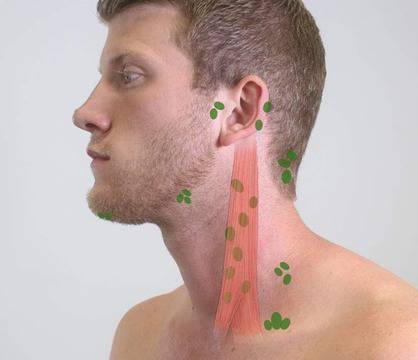 Какви са причините за подути лимфни възли?