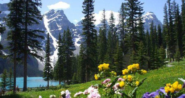 Коя ще бъде топ дестинацията за туристите през 2017 година