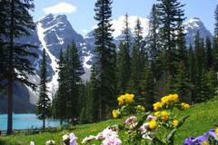 Коя ще бъде топ дестинацията за туристите през 2017 година