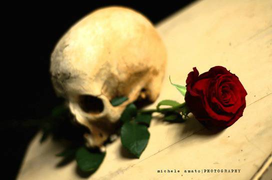 Фройд – либидо и деструдо Life Success Coaching