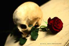 Фройд – либидо и деструдо Life Success Coaching