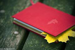 Христо Фотев и Петя Дубарова звучат на арабски тази вечер в Дома на писателя