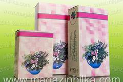 Билков чай Холопам – при камъни в жлъчката и при чернодробни заболявания