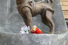 На 3 ноември 1957 г. кучето Лайка, първото живо същество, излита в космоса