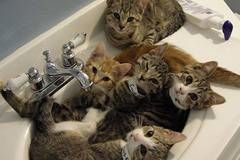 Чакаме топлата вода…