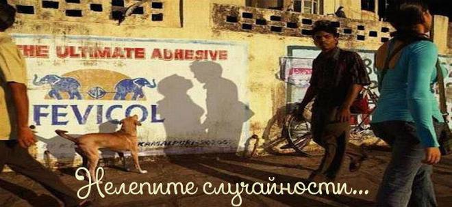 Едни от най-нелепите случайности в света