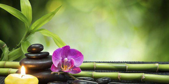 СПА туризмът на пето място в България