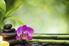 СПА туризмът на пето място в България