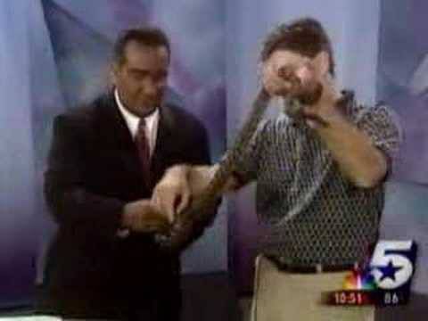 Топ 20 на най-смешните youtube клипчета за всички времена!