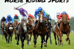 Richard Beese Describes Equestrian Sports