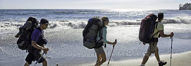 Изгодни оферти