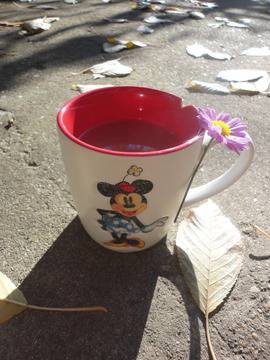 В кратунката на Красунка: Джинджифилов чай