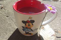 В кратунката на Красунка: Джинджифилов чай