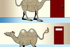 Пластичната хирургия може да ви направи щастливи!