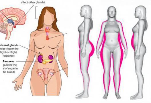 5 суперхрани при хормонален дисбаланс при жените (и 5 храни, които да избягвате)