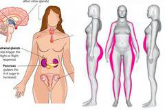 5 суперхрани при хормонален дисбаланс при жените (и 5 храни, които да избягвате)