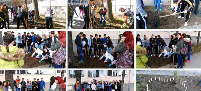 Ученици, от три клуба в СУ „Братя Каназиреви“, засадиха ирландски луковици, по проект „Жълт минзухар“